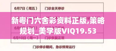 新粤门六舍彩资料正版,策略规划_美学版VIQ19.53