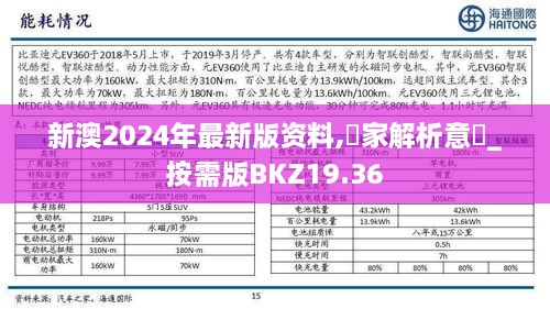 新澳2024年最新版资料,專家解析意見_按需版BKZ19.36