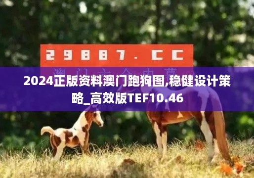 2024正版资料澳门跑狗图,稳健设计策略_高效版TEF10.46