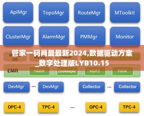 管家一码肖最最新2024,数据驱动方案_数字处理版LYB10.15