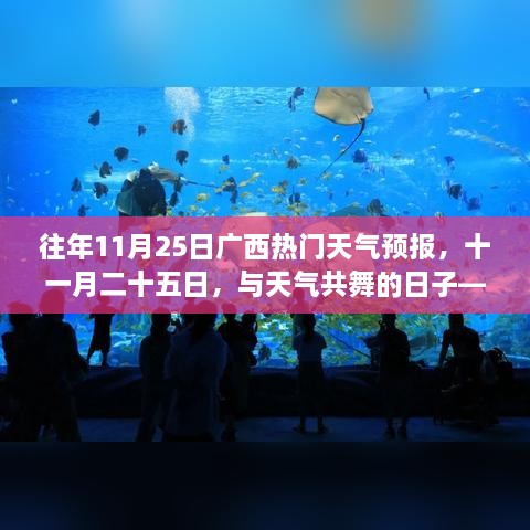 广西十一月二十五日天气预报故事，与天气共舞的日子