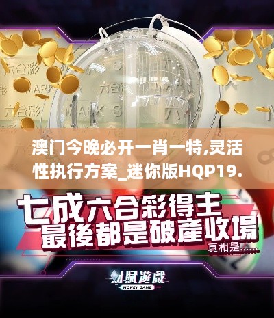 澳门今晚必开一肖一特,灵活性执行方案_迷你版HQP19.20