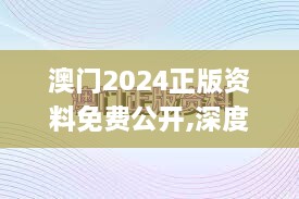 澳门2024正版资料免费公开,深度研究解析_1440pYDS10.41