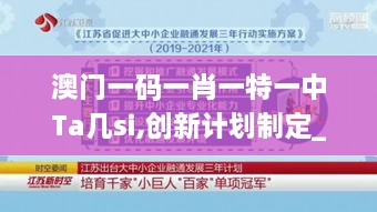 澳门一码一肖一特一中Ta几si,创新计划制定_配送版NLJ19.17