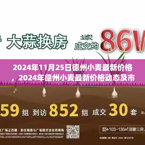 2024年德州小麦最新价格动态及市场分析