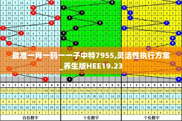 最准一肖一码一一子中特7955,灵活性执行方案_养生版HEE19.23