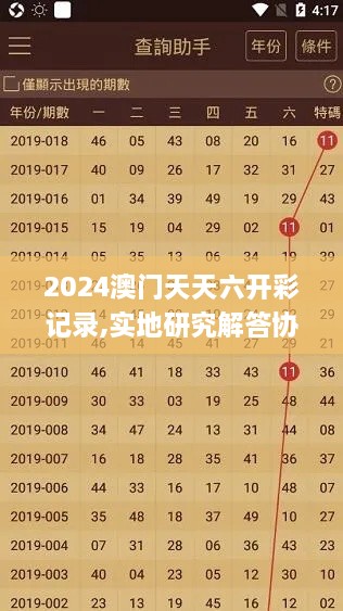 2024澳门天天六开彩记录,实地研究解答协助_瞬间版FRV19.41