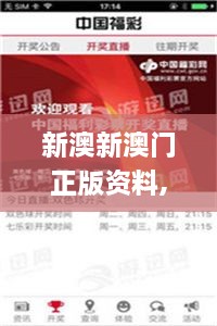 新澳新澳门正版资料,实地应用实践解读_高效版TNL19.42