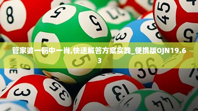 管家婆一码中一肖,快速解答方案实践_便携版OJN19.63