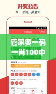 管家婆一码一肖100中奖,创新计划制定_娱乐版UKV19.90