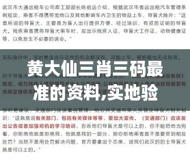 黄大仙三肖三码最准的资料,实地验证策略具体_体验式版本GTH19.83