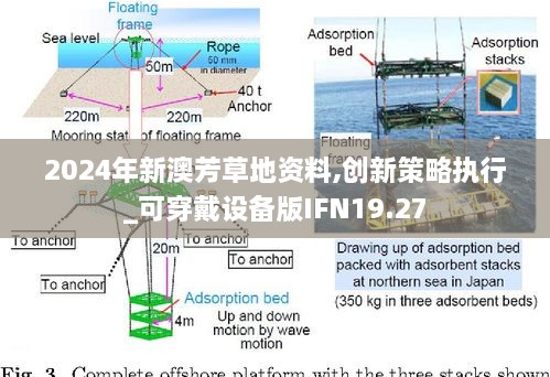 2024年新澳芳草地资料,创新策略执行_可穿戴设备版IFN19.27