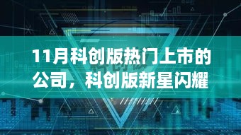 科创版新星闪耀，揭秘热门上市公司与小巷特色小店的背后故事