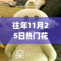 往年11月25日热门花园宝宝，全面评测与详细介绍