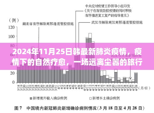 韩国疫情下的自然疗愈之旅，探索美景的宁静力量在尘嚣之外