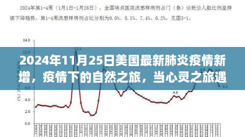 2024年11月 第258页