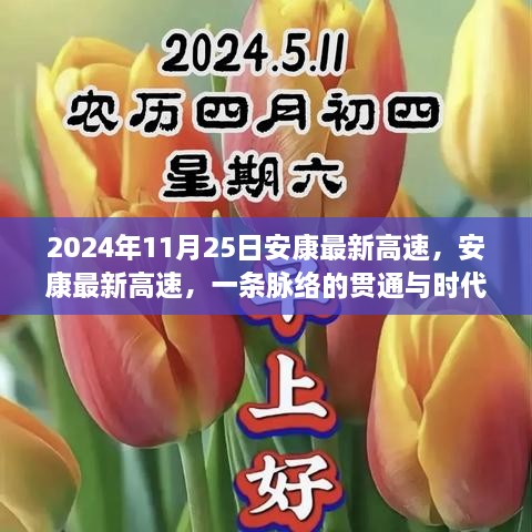 安康最新高速脉络贯通，时代进步的见证（2024年11月25日回顾）