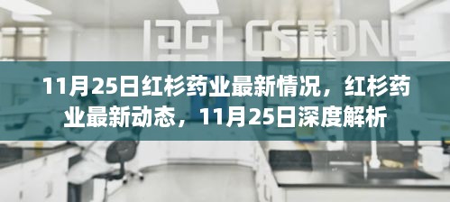 11月25日深度解析，红杉药业最新动态与情况