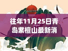 往年11月25日青岛紫檀山最新消息揭秘，获取详细步骤指南