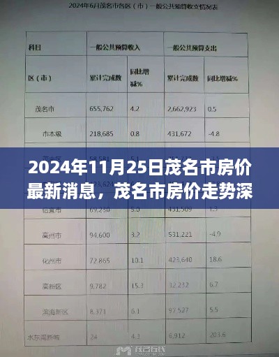 茂名市房价最新动态，深度解析走势与观察思考在2024年11月25日