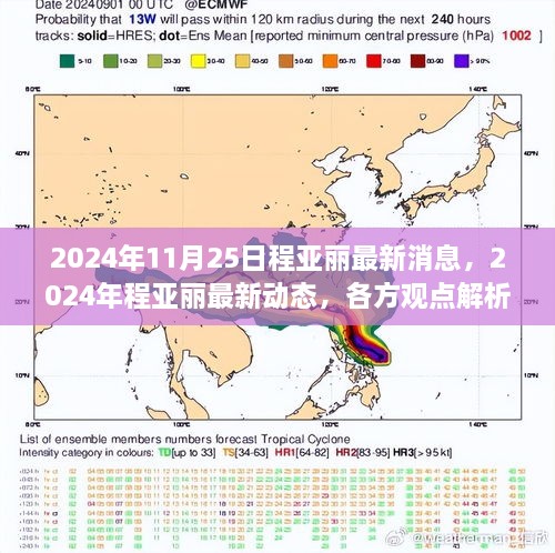 2024年程亚丽最新动态与各方观点解析，个人立场探讨