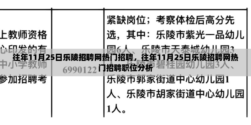 往年11月25日乐陵招聘网热门职位深度解析