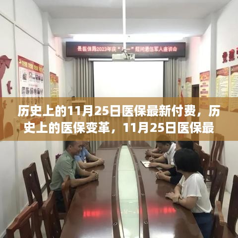 历史上的医保变革与最新付费进展，11月25日的自信与成就之光闪耀时刻