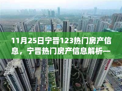 宁晋热门房产信息解析，最新动态与深度解读（11月25日专报）