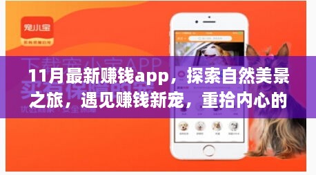 11月最新赚钱app，自然美景之旅，遇见新宠，重拾内心宁静与平和的财富探索