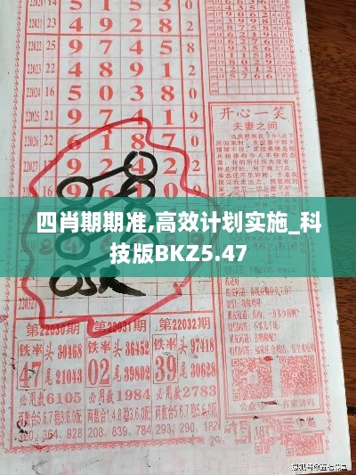 四肖期期准,高效计划实施_科技版BKZ5.47