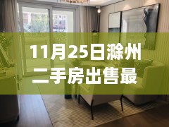 2024年11月 第239页