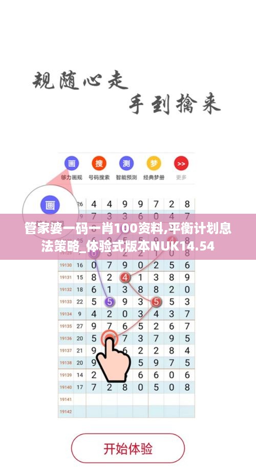 管家婆一码一肖100资料,平衡计划息法策略_体验式版本NUK14.54