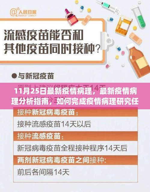 最新疫情病理解析及研究指南，从初学者到进阶用户的疫情病理分析全攻略（11月25日更新）