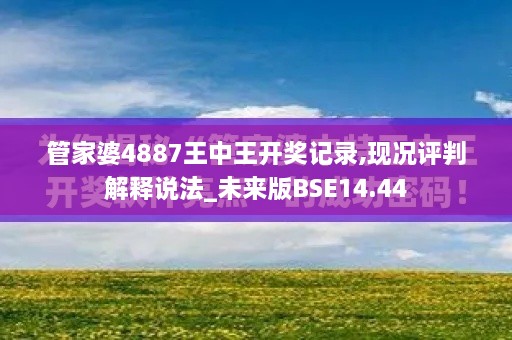 管家婆4887王中王开奖记录,现况评判解释说法_未来版BSE14.44