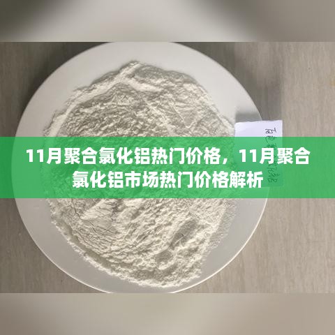 11月聚合氯化铝热门价格，11月聚合氯化铝市场热门价格解析