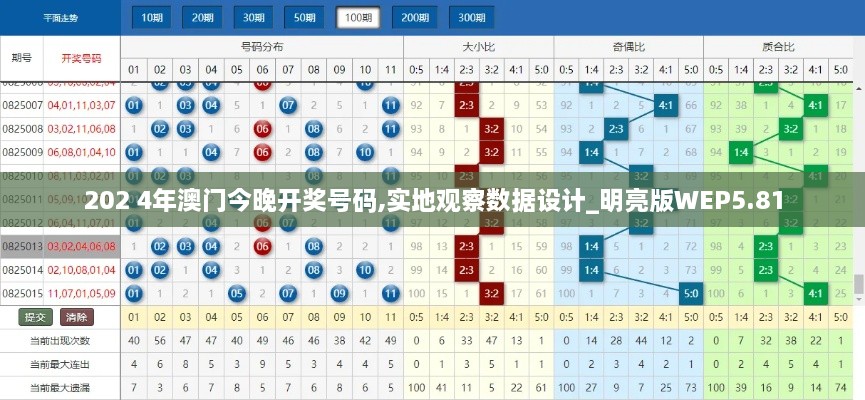 202 4年澳门今晚开奖号码,实地观察数据设计_明亮版WEP5.81