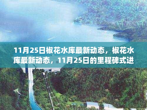 椒花水库11月25日里程碑进展，最新动态与长远影响概览