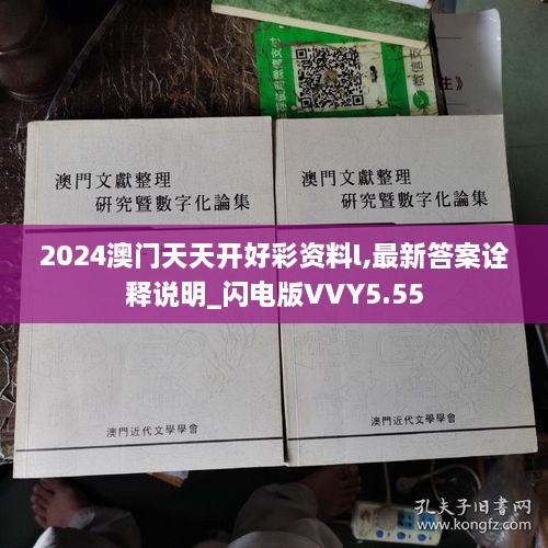 2024澳门天天开好彩资料l,最新答案诠释说明_闪电版VVY5.55