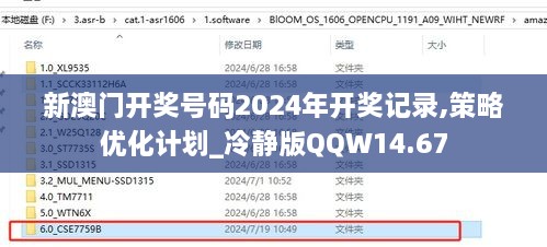 新澳门开奖号码2024年开奖记录,策略优化计划_冷静版QQW14.67