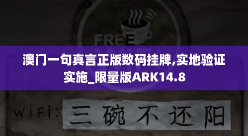 澳门一句真言正版数码挂牌,实地验证实施_限量版ARK14.8