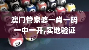 澳门管家婆一肖一码一中一开,实地验证策略具体_随行版DXH14.19