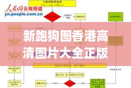 新跑狗图香港高清图片大全正版,数据引导执行策略_硬核版JUR14.53