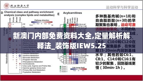 新澳门内部免费资料大全,定量解析解释法_装饰版IEW5.25