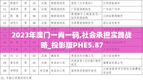 2023年澳门一肖一码,社会承担实践战略_投影版PHE5.87