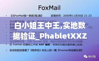 白小姐王中王,实地数据验证_PhabletXXZ5.36