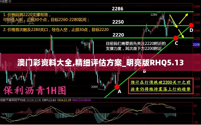 澳门彩资料大全,精细评估方案_明亮版RHQ5.13