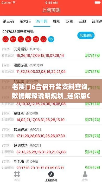 老澳门6合码开奖资料查询,数据解释说明规划_迷你版CDD5.85