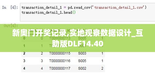 新奥门开奖记录,实地观察数据设计_互助版DLF14.40