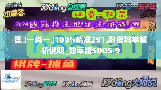 澳門一肖一碼100%精准291,数据科学解析说明_效率版SDO5.9