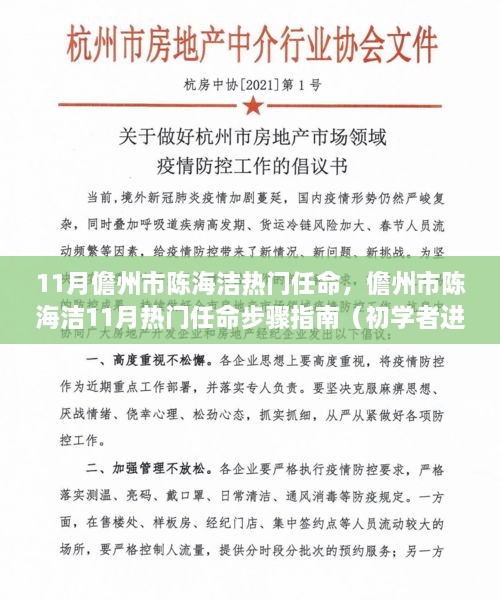 儋州市陈海洁11月热门任命步骤详解，初学者进阶版指南